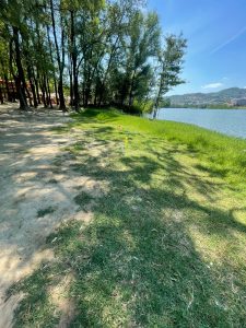 kurse verore për fëmijë